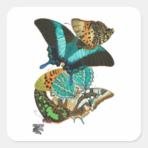 E.A. Séguy Butterflies Illustratie Vierkante Sticker