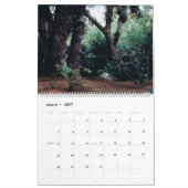 E.J. Gold's Zen Garden Kalender (Mar 2027)