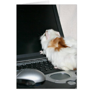 E-mail controleren