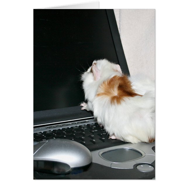 E-mail controleren (Voorkant)