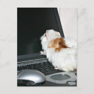 E-mail me! briefkaart