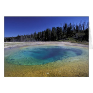 É-N, États-Unis, Wyoming, Parc national de Yellows