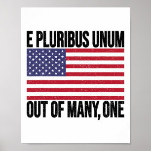 E Pluribus Unum Vlag Usa Voor Vrouwen Mannen Poster