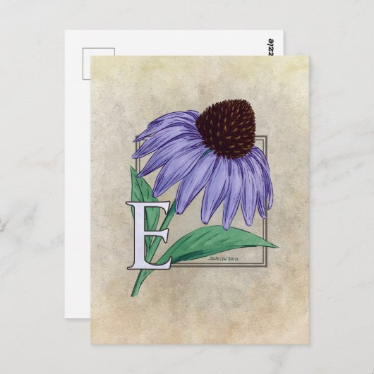 E pour les cartes Monogrammes Echinacea Flower (Devant / Derrière)