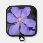 é sarine pannenlap (Voorkant)