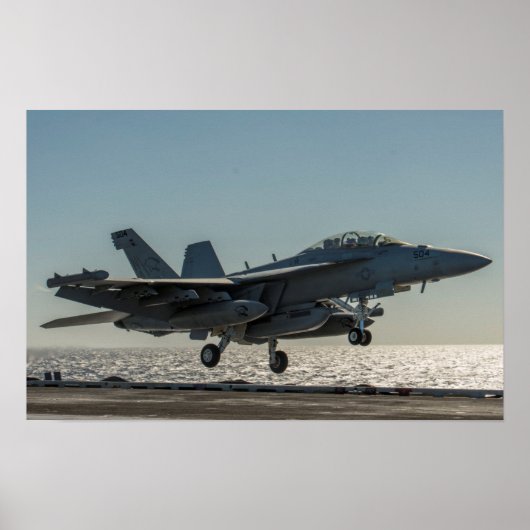 EA-18G Growler Poster (Voorkant)