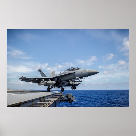 EA-18G Growler Poster (Voorkant)