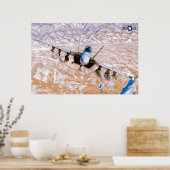 EA-18G GROWLER POSTER (Keuken)