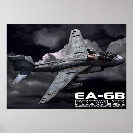 EA-6B Prowler Poster (Voorkant)