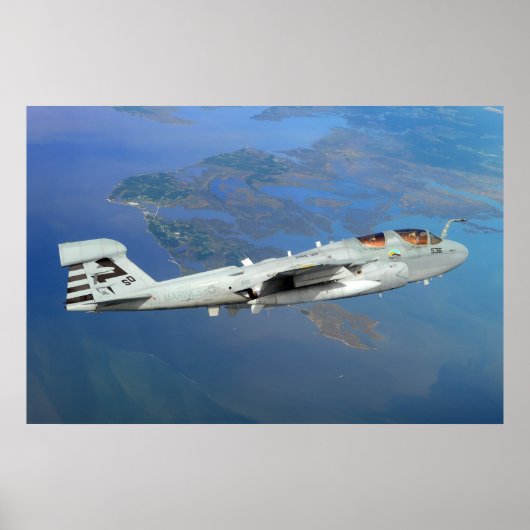 EA-6B Prowler Poster (Voorkant)
