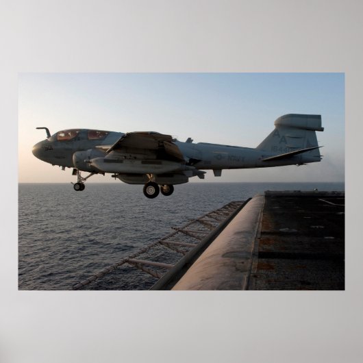 EA-6B Prowler Poster (Voorkant)