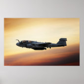 EA-6B Prowler Poster (Voorkant)