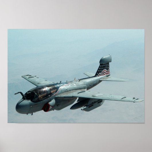 EA-6B Prowler Poster (Voorkant)