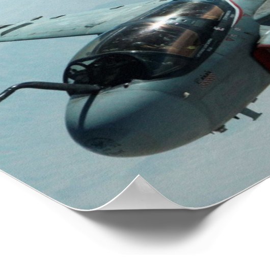 EA-6B Prowler Poster (Hoek)