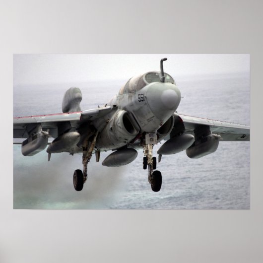 EA-6B Prowler Poster (Voorkant)