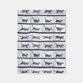 EADWEARD MUYBRIDGE : Chat marchant - couverture (Devant)