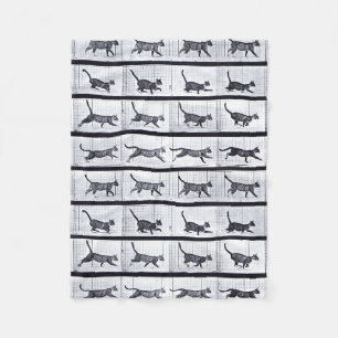 EADWEARD MUYBRIDGE : Chat marchant - couverture