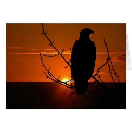 Eagle (Voorkant Horizontaal)