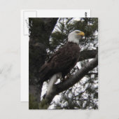 Eagle 10 briefkaart (Voorkant / Achterkant)