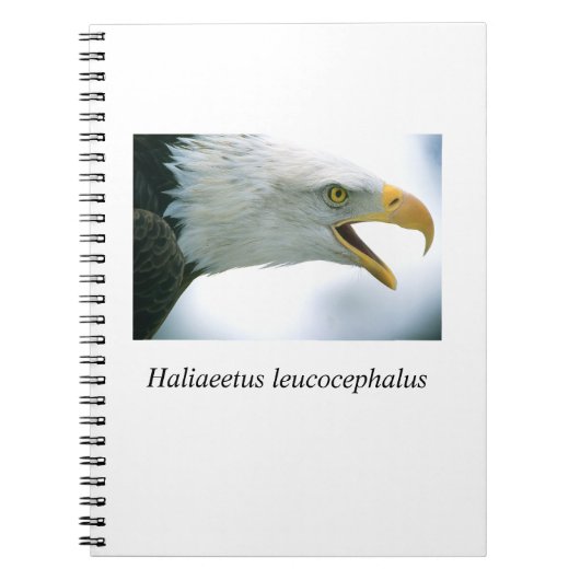 Eagle#1 Notitieboek (Voorkant)