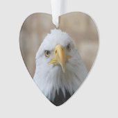 Eagle_2015_0201 (devant)