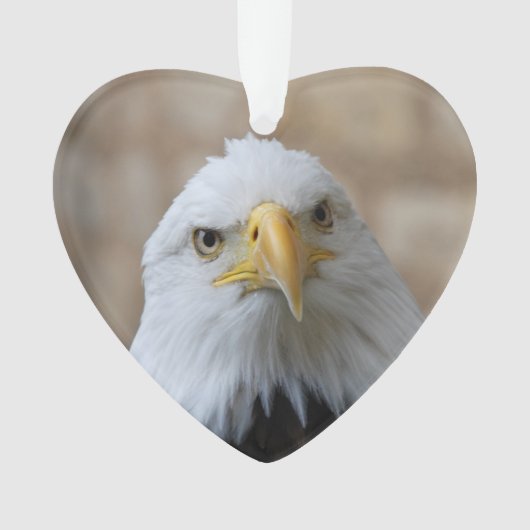Eagle_2015_0201 (devant)