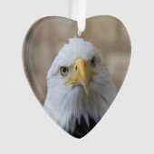 Eagle_2015_0201 (devant)