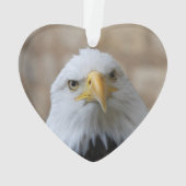 Eagle_2015_0201 (dos)