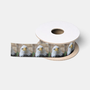 Eagle_2015_0201 Lint