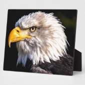 Eagle 2 fotoplaat (Zijkant)