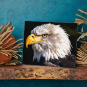 Eagle 2 fotoplaat (Zijkant)