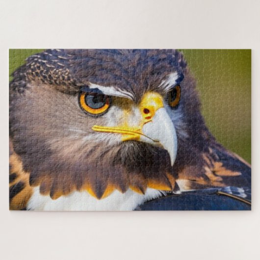 Eagle 2 legpuzzel (Horizontaal)