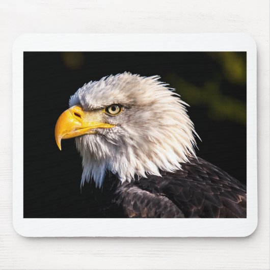 Eagle 2 muismat (Voorkant)