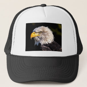 Eagle 2 trucker pet