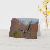 Eagle 6 kaart (Gele Bloem)