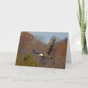 Eagle 6 kaart