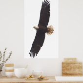 Eagle April 20, 2025 Poster (Keuken)