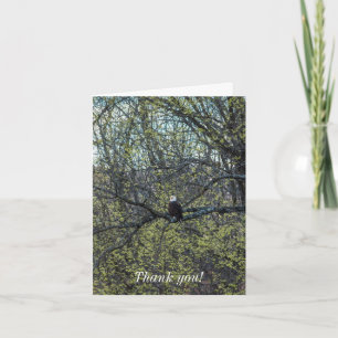 Eagle Awareness Kaart