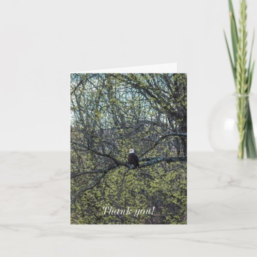 Eagle Awareness Kaart (Voorkant)