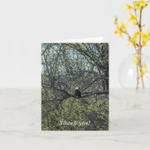 Eagle Awareness Kaart (Gele Bloem)