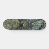 Eagle Awareness Skateboard (Horizontaal)