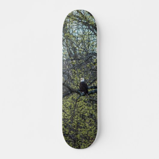 Eagle Awareness Skateboard (Voorkant)