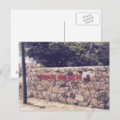 Eagle Beach - Carte postale (Devant / Derrière)