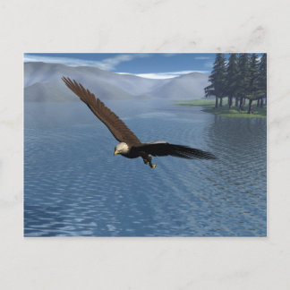 Eagle Briefkaart