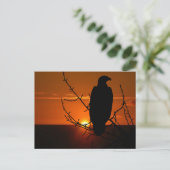 Eagle Briefkaart (Staand voorkant)
