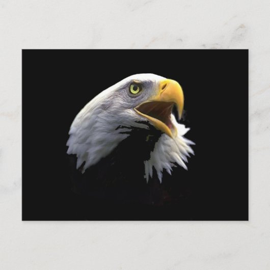 Eagle Briefkaart (Voorkant)