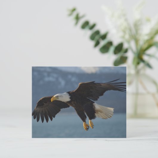 Eagle Briefkaart (Staand voorkant)