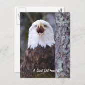 Eagle Briefkaart (Voorkant / Achterkant)