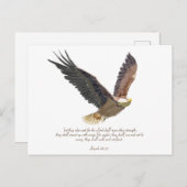 Eagle Briefkaart (Voorkant / Achterkant)