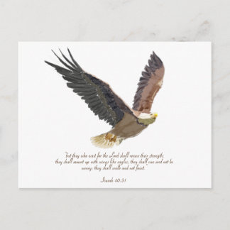 Eagle Briefkaart